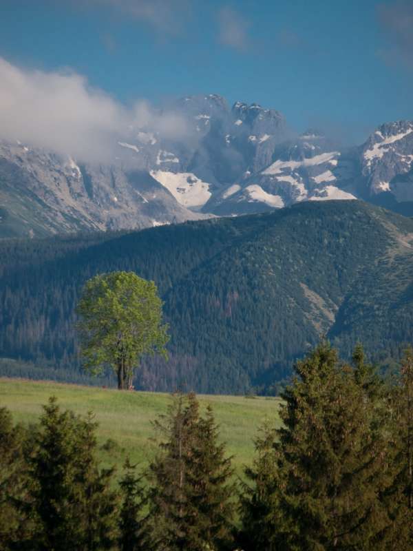 zdjęcia widok na tatry